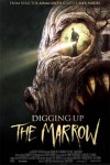 digging up the marrow.jpg